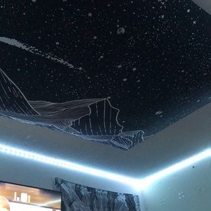 Meet your Posher, Adam